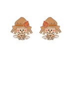 Earrings 2843