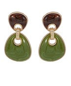 Earrings 2850