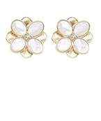 Earrings 2855