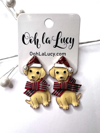 Earrings 2562
