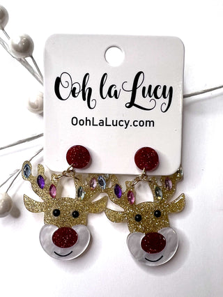 Earrings 2567