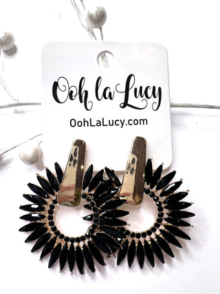 Earrings 2377