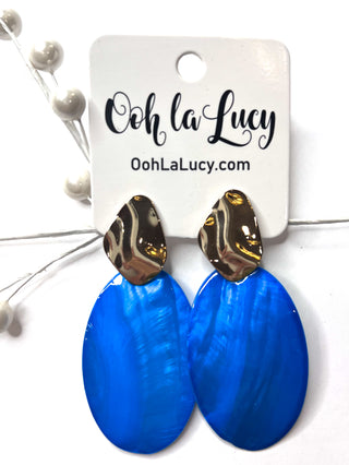 Earrings 2507