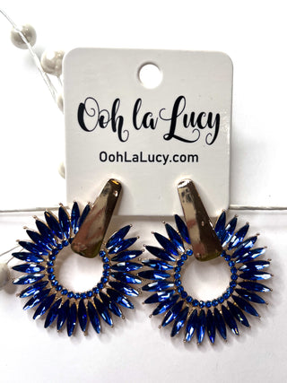 Earrings 2376