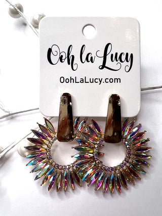 Earrings 2375