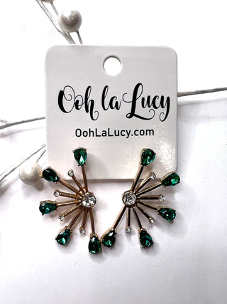 Earrings 2425
