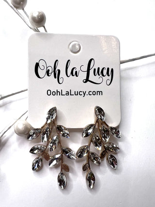 Earrings 2450
