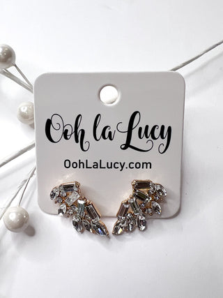 Earrings 2457