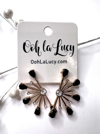 Earrings 2426