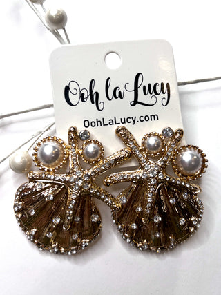 Earrings 2517