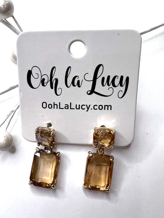 Earrings 2384