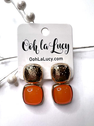 Earrings 2494