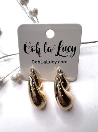 Earrings 2489