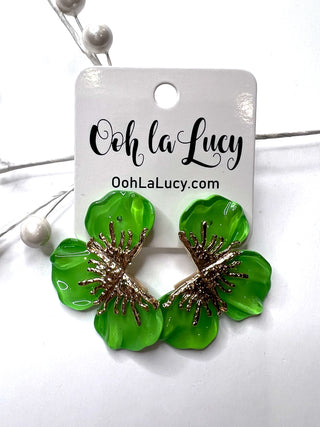 Earrings 2492