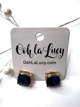 Earrings 2343