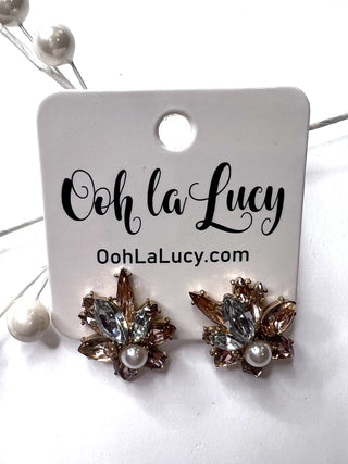 Earrings 2354