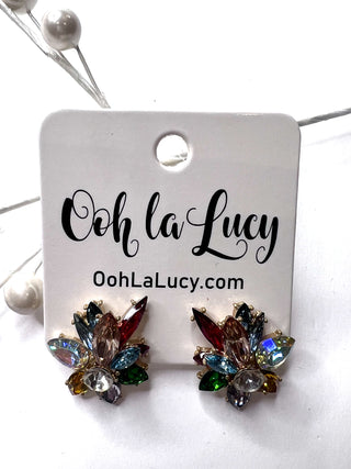 Earrings 2355